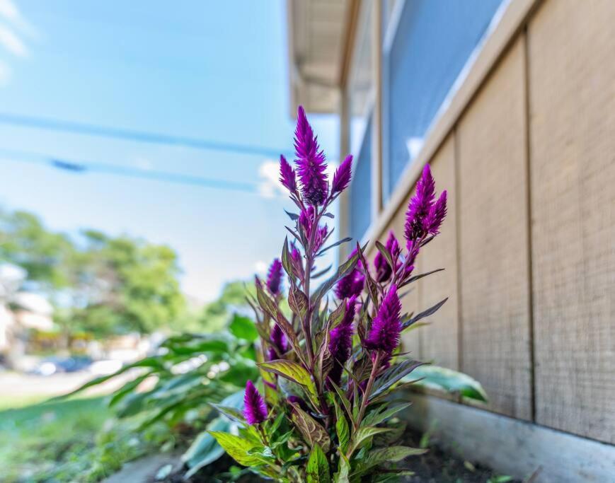Entire House 3 Bedroom Twin Cities, Specious, Entire House, Ac 圣保罗 外观 照片